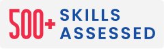 Skills Assessment